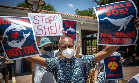 Blow for environmental activists as they fail to convince court to stop Shell’s planned seismic survey on the Wild Coast