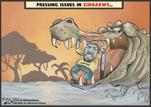 Pressing Issues In Zimbabwe