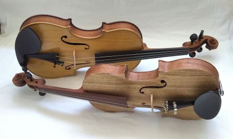 An African violin? New study tests which indigenous woods could make one