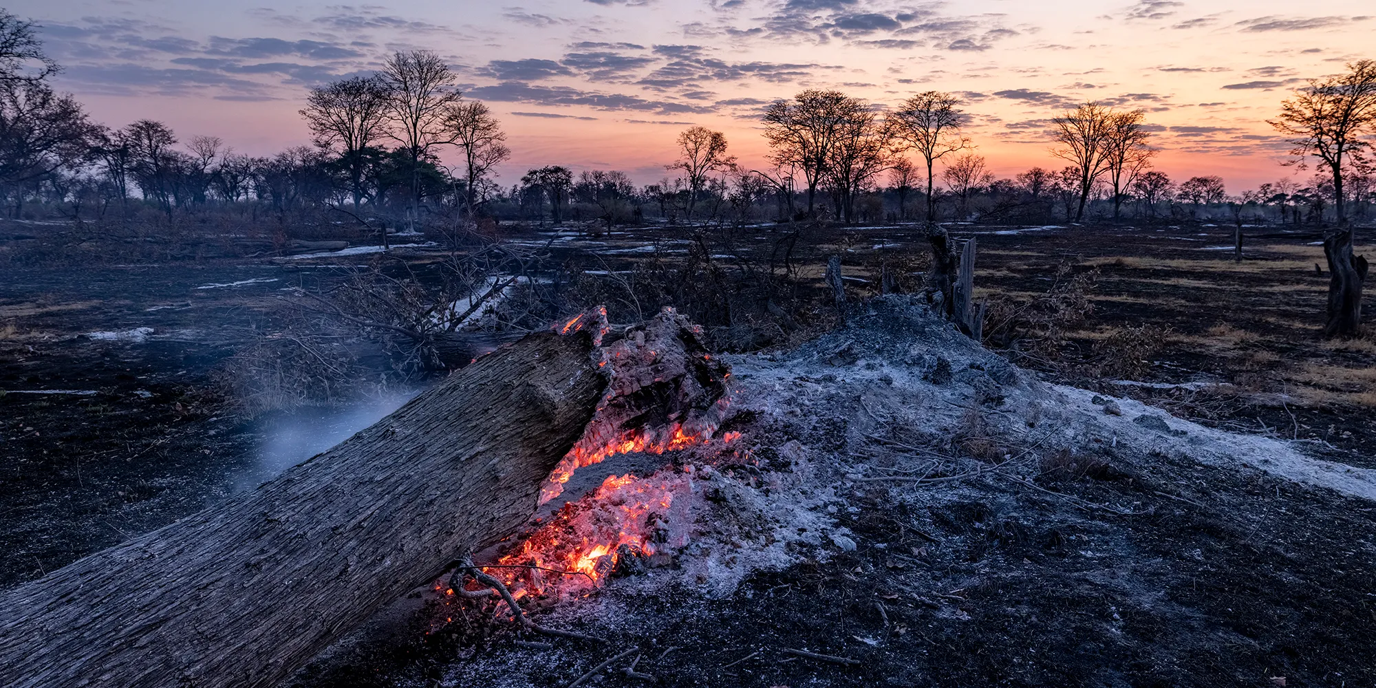 botswana fires elephants deforestation