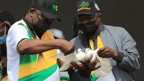 Renewal in the ranks: ANC must excise the systemic rot afflicting the party