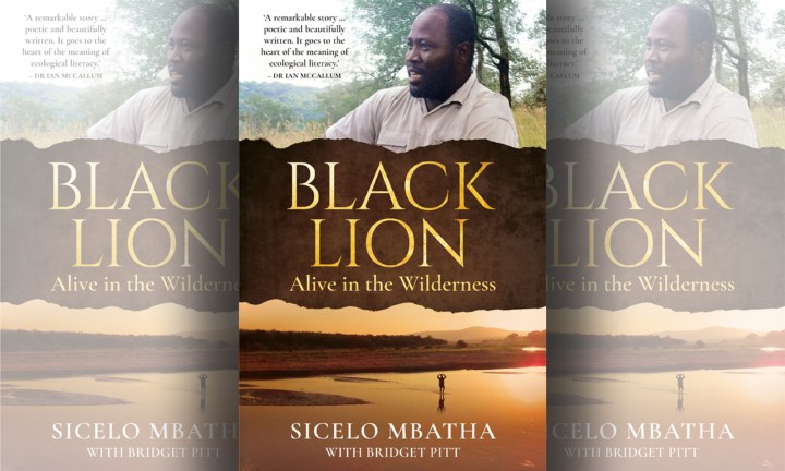 ‘Black Lion’ is an inspirational walk on the wild side