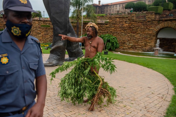 Four arrested at the Union Buildings for growing and selling weed