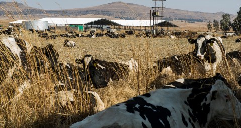 Vrede Dairy: Empowerment project finally handed over to farmers