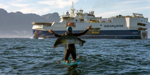 Shell determined to pursue seismic exploration ambitions off South Africa’s Wild Coast