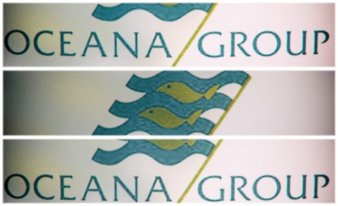 Oceana cites problems with US subsidiary as reason for delayed publishing of financial results
