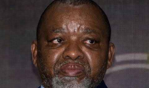 Enviromentalists should not dominate the just transition discussion, says Mantashe