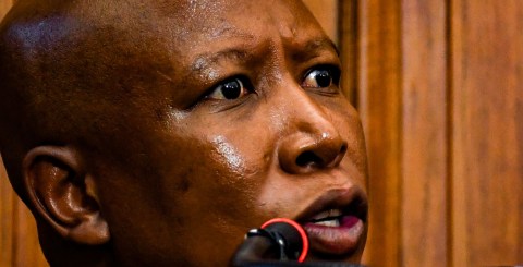 Malema and AfriForum lawyer trade verbal blows in high court over the trauma of black South Africans and white farmers