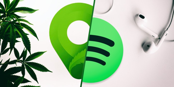 The cannabis app that got crushed under Spotify’s corporate machinery