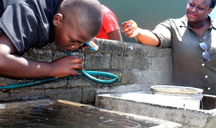 Full of holes — the leaky water bill won’t solve SA’s service delivery crisis