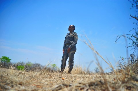 ‘I have crossed that river of fear’: Tinyiko Golele, a regional ranger in Shingwedzi in the Kruger National Park
