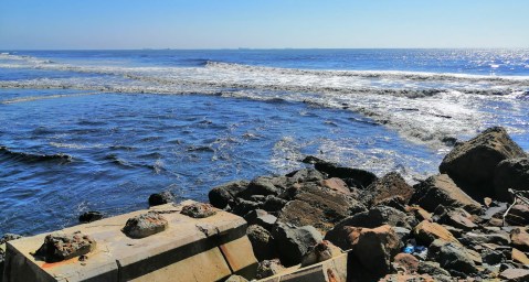 eThekwini Municipality unable to produce Durban’s ‘safe beaches’ test results