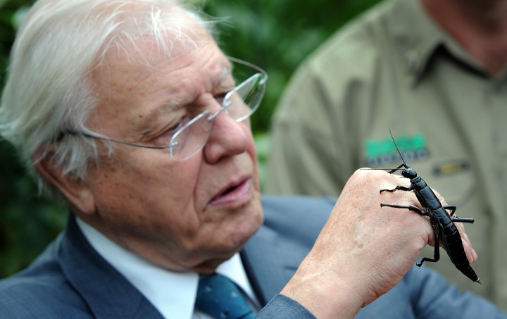 Attenborough, WHO, Tsikhanouskaya among nominees for Nobel Peace Prize