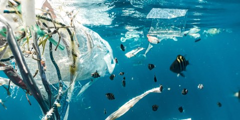 South Africa adopts marine plastic pollution treaty ahead of UN environmental meeting