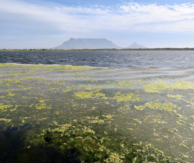 Rietvlei reopens to public after City water quality tests found to be inaccurate