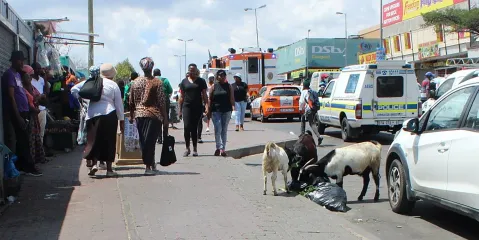 Heavy police presence in Alexandra after Dudula Movement tells immigrants to close their shops