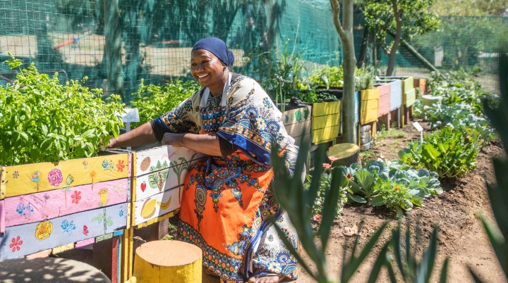 Through honest toil and kindness in Bo-Kaap, Souper gardeners plant seeds of hope that transform lives