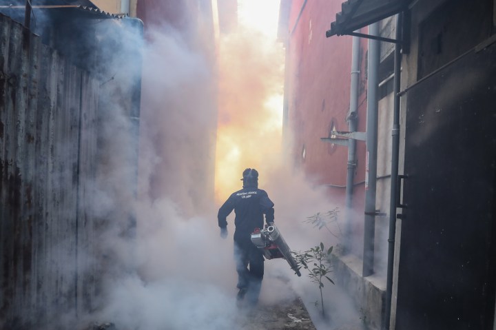 Covid-19 curbs linked to 750,000 fewer dengue fever cases in 2020