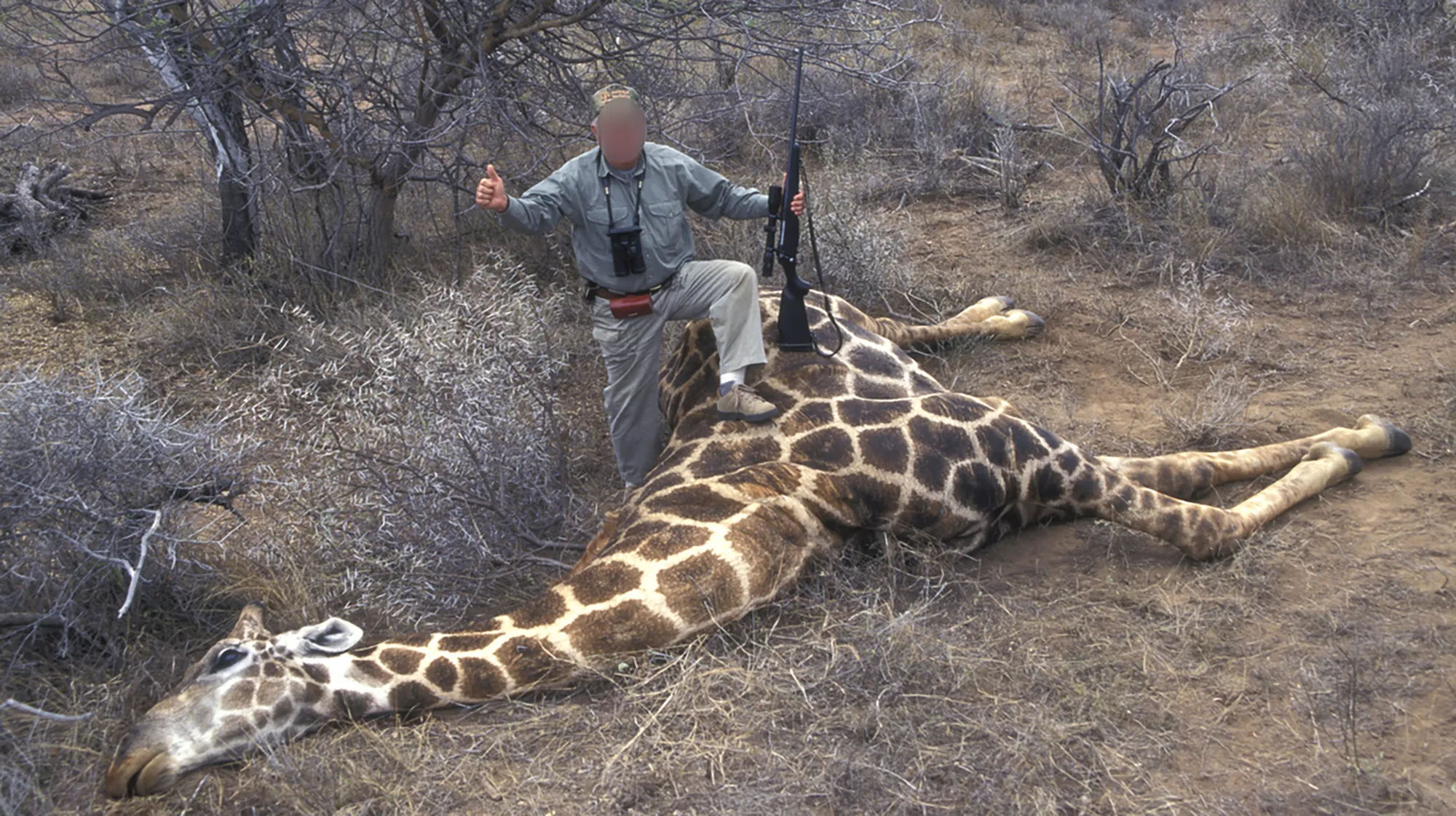 trophy hunting south africa