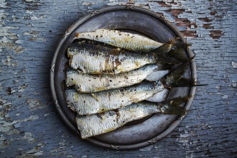 All of a sardine things are looking up