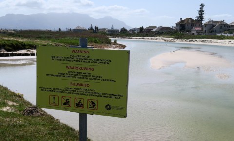 City of Cape Town probe into conflicting vlei water samples reveals contamination