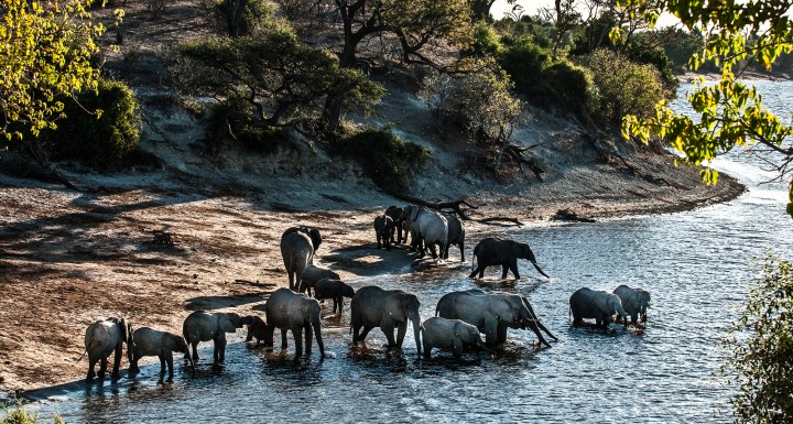 Uproar over plan to litter Botswana's Chobe National Pa...