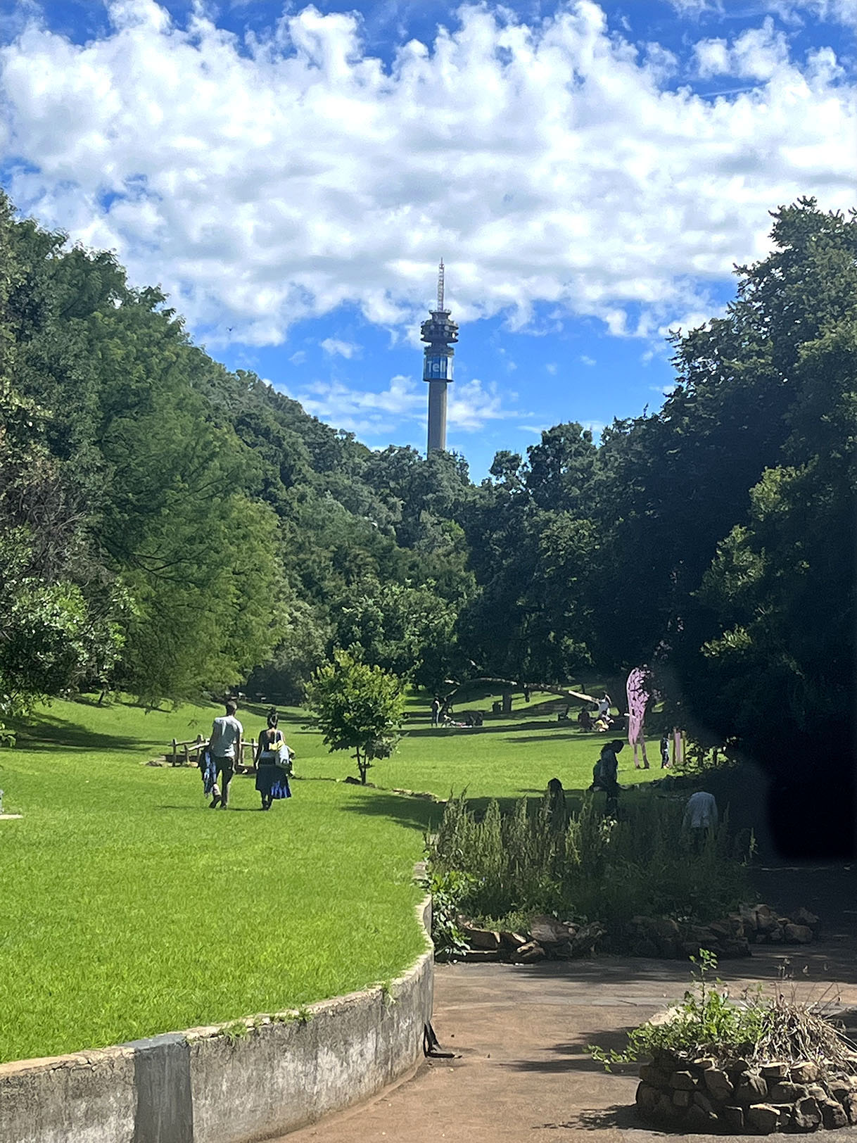 View of the Hillbrow Tower from the Giraffe Lawn, The Wilds, Johannesburg.