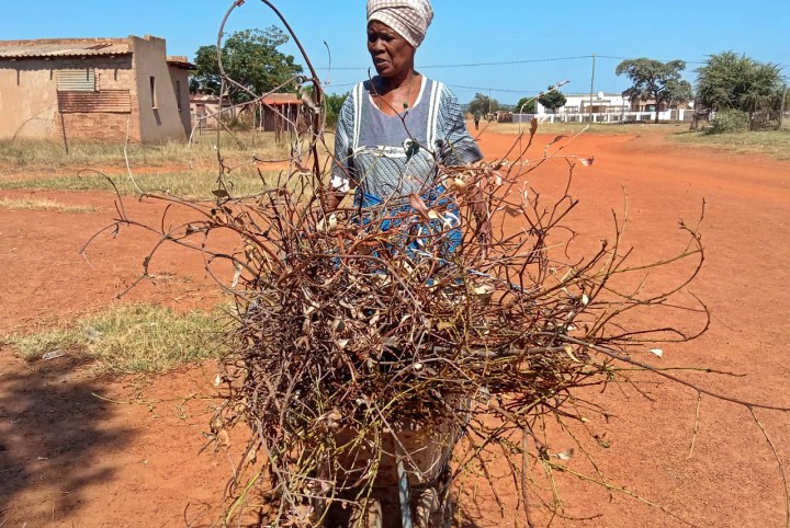 Gogo walks 10km every day, collecting firewood to beat the electricity tariff increase