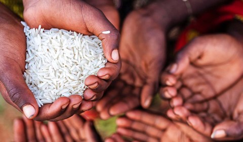 Food sovereignty non-negotiable for Africa’s development — it is an attainable goal