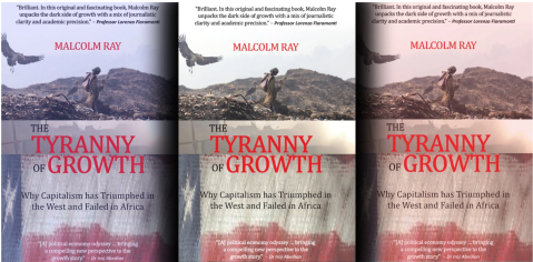 The Tyranny of Growth examines the sacrosanct concept of GDP as a growth measure in Africa