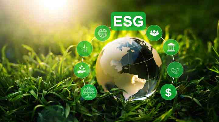 Sorting the wheat from the chaff in ESG investments