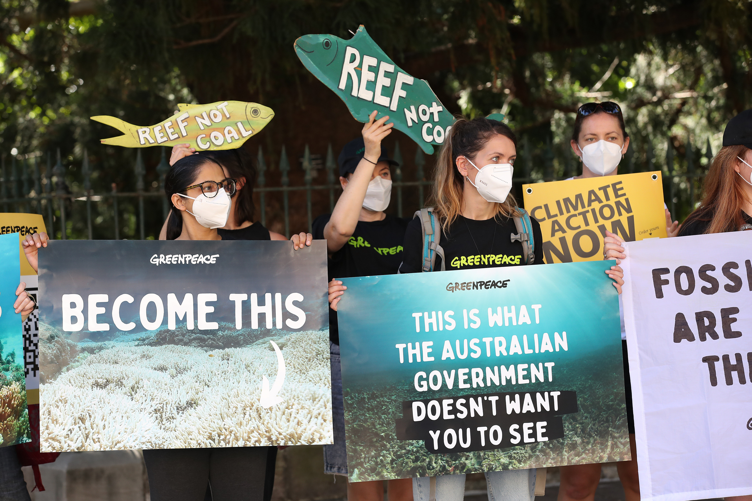 Des militants tiennent des pancartes lors d'une manifestation pour souligner le risque que le changement climatique fait peser sur la Grande Barrière de Corail, devant le Parlement à Brisbane, en Australie.