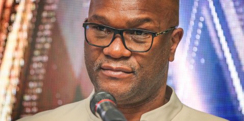 MPs, actors welcome ‘review’ of Nathi Mthethwa’s R22m flag jaw-dropper