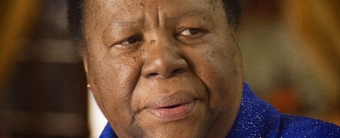 Pandor denies SA government is helping Islamic State fighters return from Syria