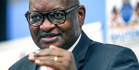 ‘It’s not your turn to eat,’ says Premier Makhura to organised crime