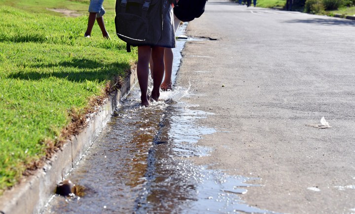 Business Chamber offers to help fix NMB water leaks spilling 80 million litres a day