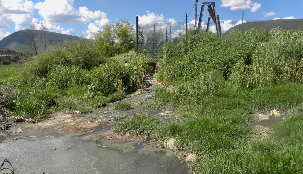 POLLUTED RIVERS: Eastern Cape municipalities pump raw sewage into waterways