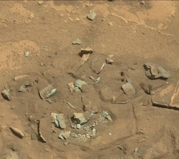 A bunch of stones scoured out by the wind on Mars. One in the middle looks like a thigh-bone from this angle.