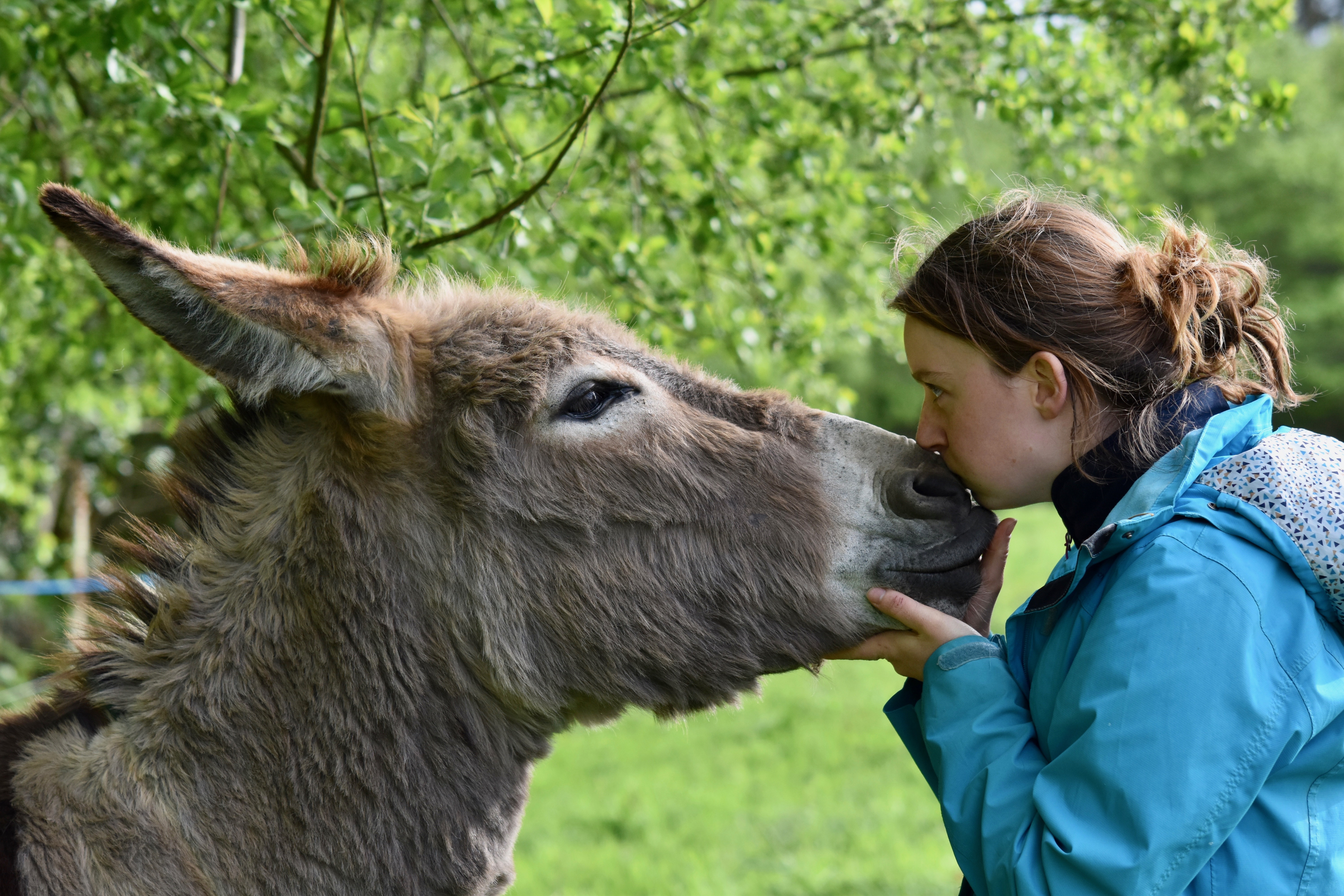 Girl and donkey.
