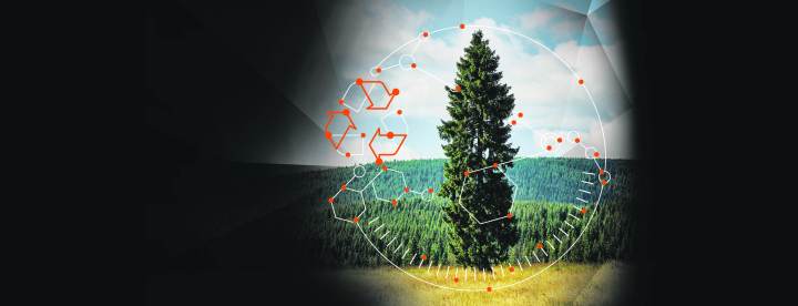 How recycling and reforestation are advanced with 4IR Tech
