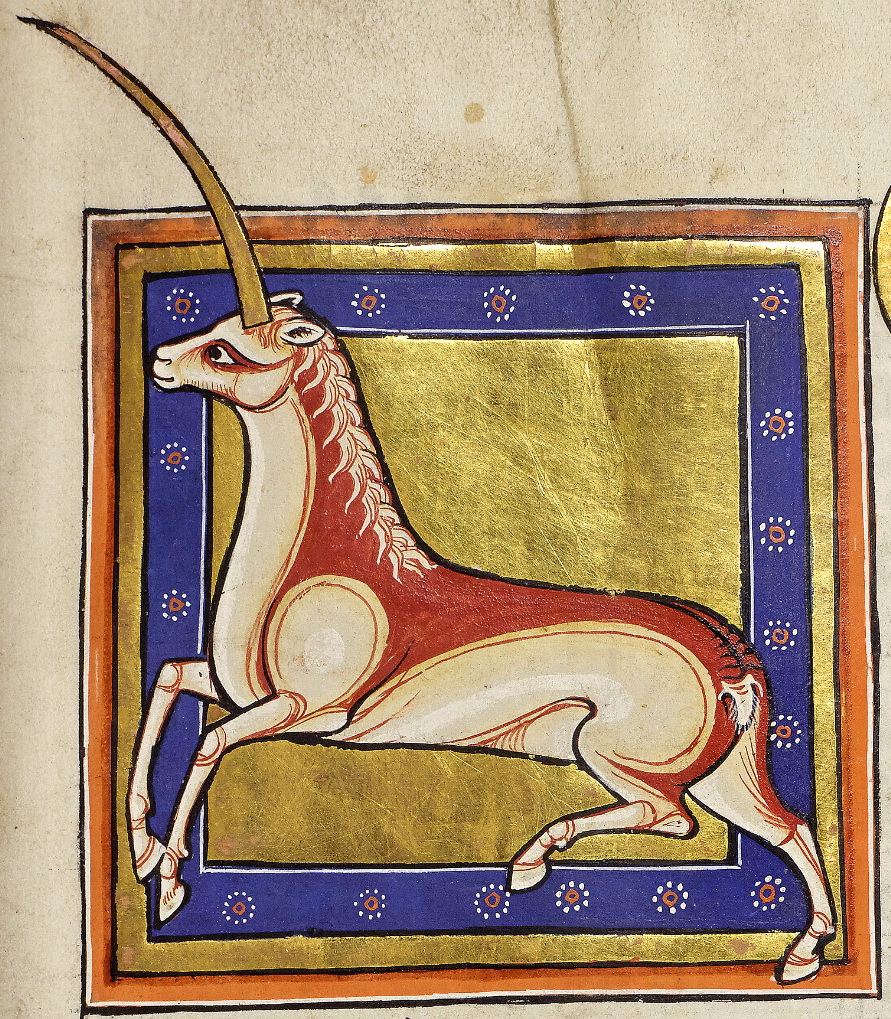 Monocerus - Horse-like monoserus with a large horn. 