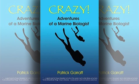 The bold man and the sea – a marine biologist’s ocean of ‘crazy’ memories makes for a captivating read