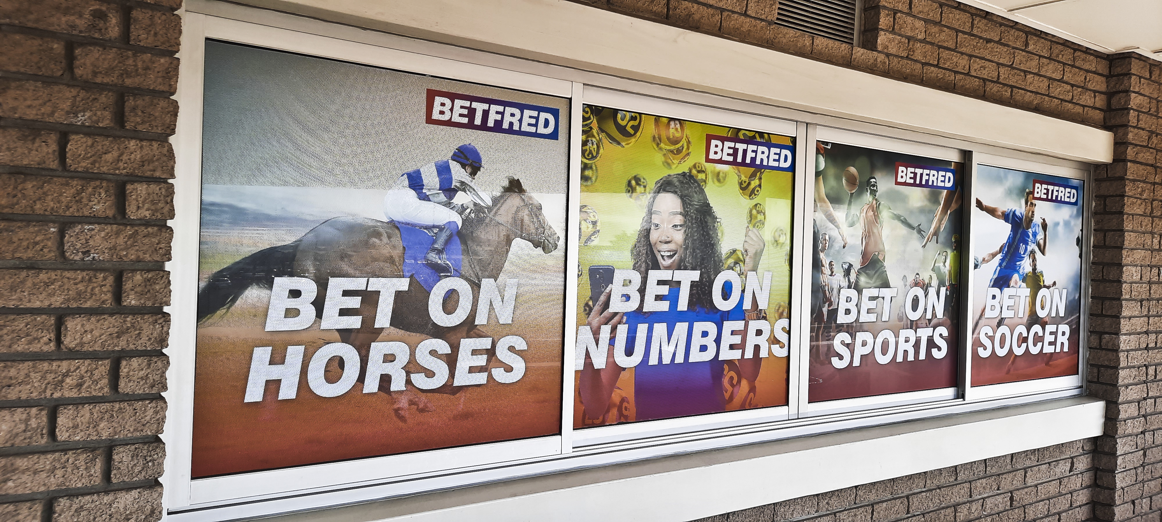horses betting