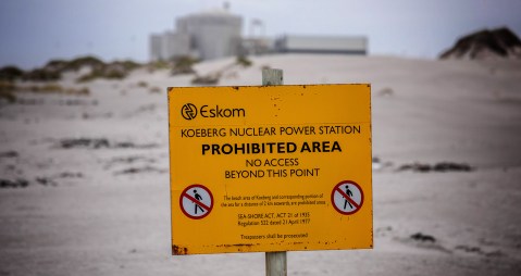Eastern Cape’s Thyspunt nuke power plant site a no go for now, says regulator