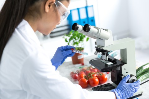 Food Safety: Microbiology Testing