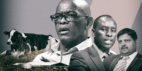 Law enforcement should investigate Magashule, Zwane and Thabethe over Estina Dairy