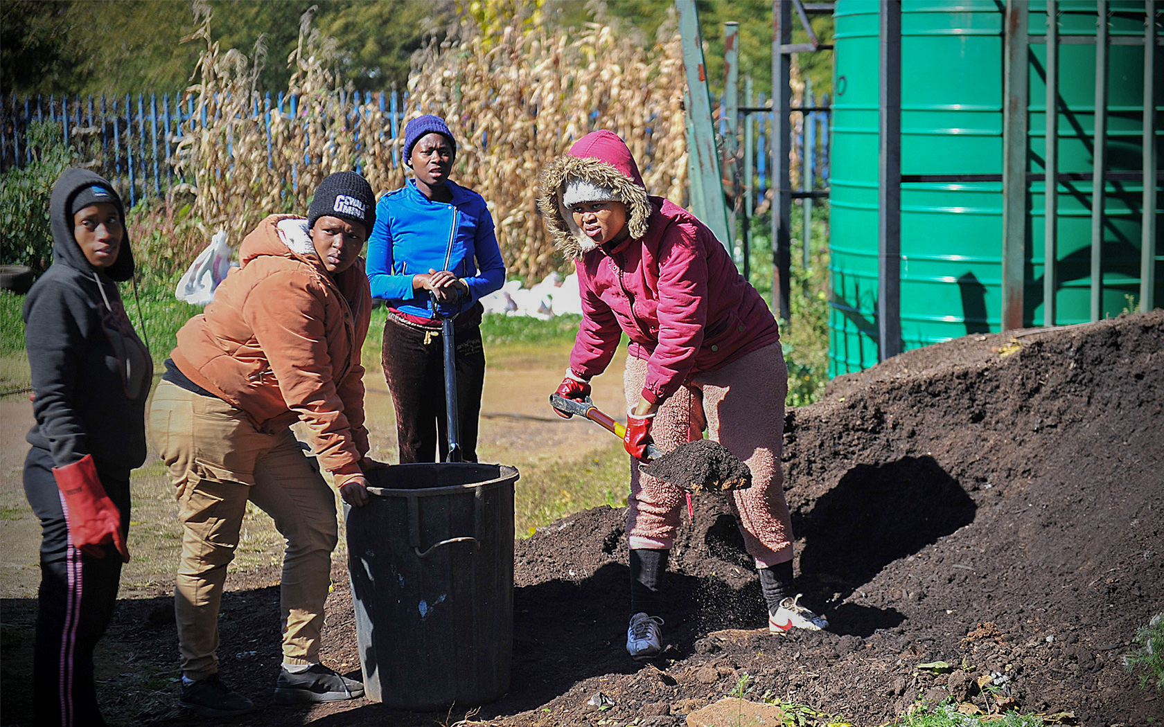 Youth from the community in Bertrams working the land at Bertrams Inner City Farm