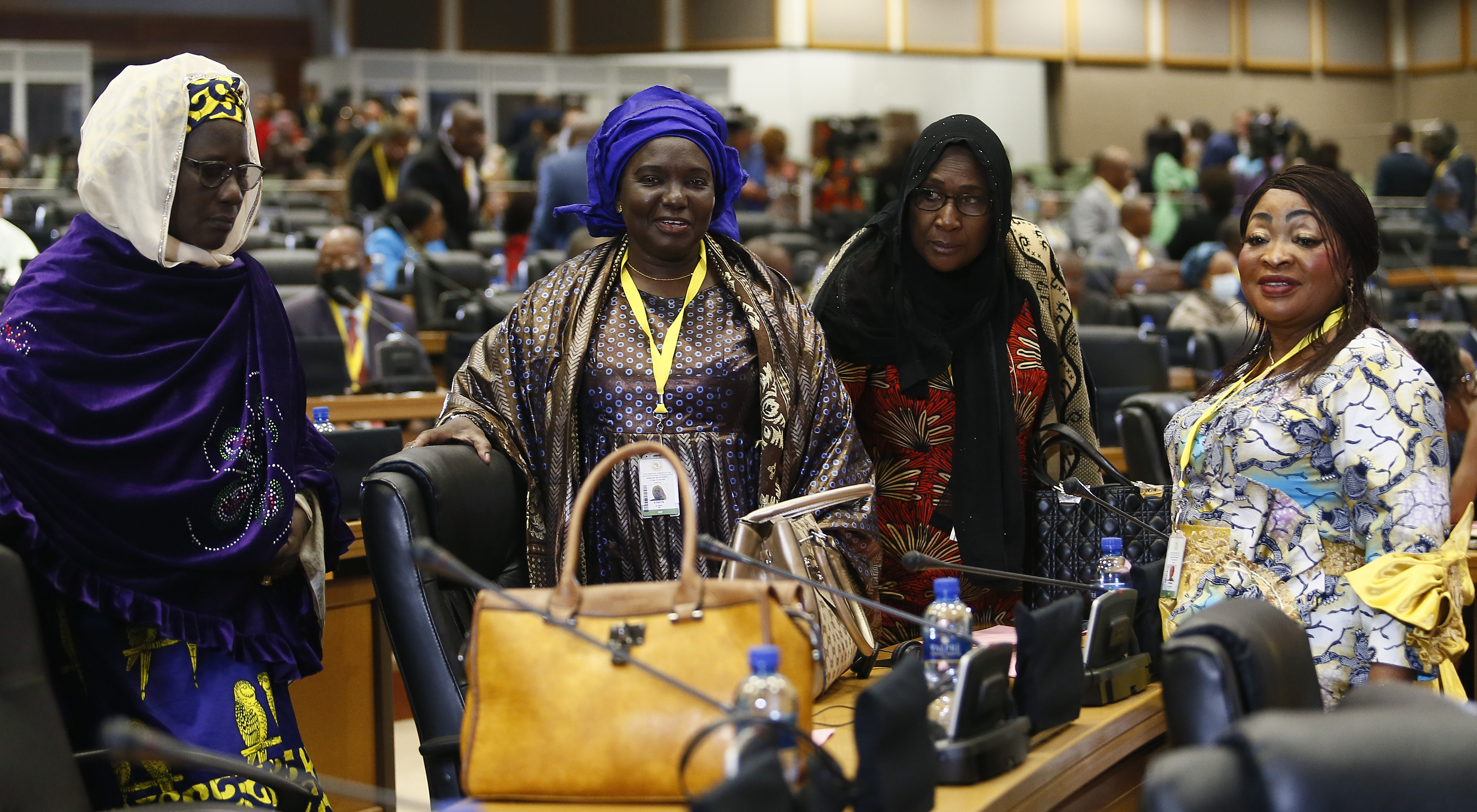 pan-african parliament delegates