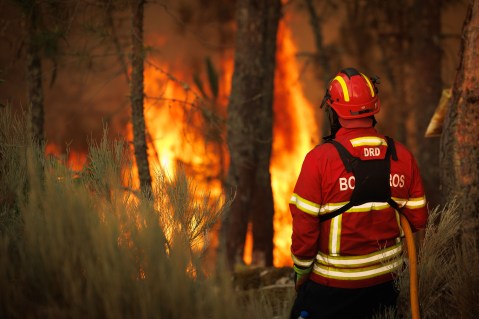 Hundreds of firefighters battle blaze near Lisbon, Portugal