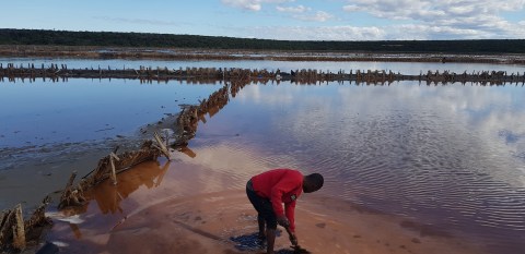 Mineral resourcers – Gqeberha’s secret salt harvesters turn to abandoned pans after losing jobs during pandemic